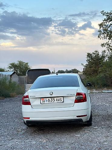 Продажа авто: Skoda Octavia: 2017 г., 1.6 л, Автомат, Бензин, Седан — 6
