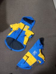 Psi: Jaknice za vaseg psa. cena za plavo zutu 1500, zuta i crna su po 500 — 5