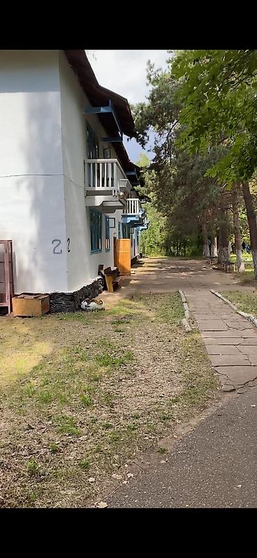псо ак ордо: Гостевой дом на Иссык-Куле, академия, Сары-Ой, 2 места, Посуточно — 7