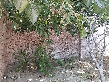 Torpaq sahələrinin satışı: 4 sot -da lalafo.az — 3 Torpaq sahələrinin satışı: 4 sot — 3