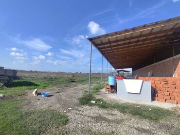 Kirayə torpaq sahələri: 8 sot Kənd təsərrüfatı — 11