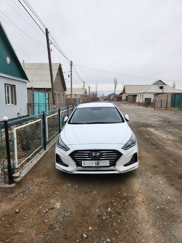 zhivotnoe na h: Hyundai Sonata: 2018 г., 2 л, Автомат, Бензин