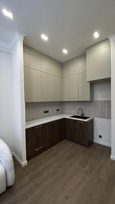 11: 2 комнаты, 48 м², Асанбай мкр Элитка, 10 этаж, Евроремонт — 3