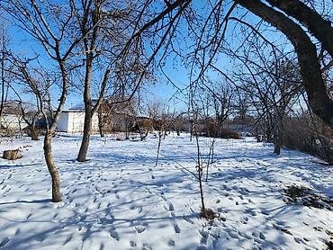 Продажа участков: 5 соток, Для строительства, Красная книга, Договор купли-продажи — 6