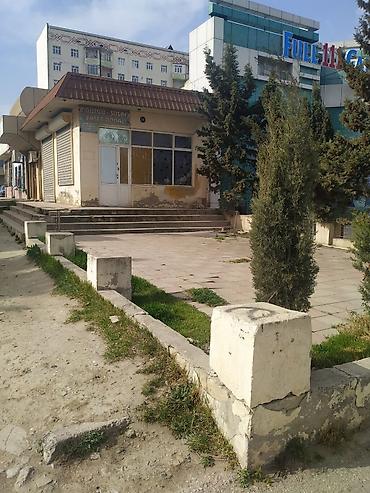 Продажа коммерческой недвижимости: Təcili!!! Razilaşma yolu ilə 17m/r, İsmət Qayıbov küçəsi, 35 kv, Yol — 6
