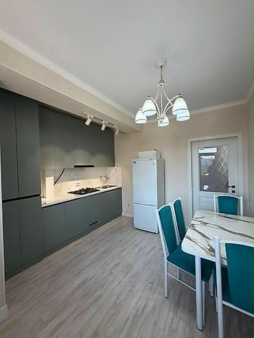 home: 2 комнаты, 68 м², Мед Академия Элитка, 4 этаж, Евроремонт — 3