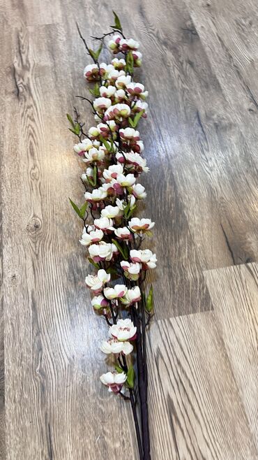 Digər ev dekoru: 10 man baslayan qiymetlerr — 7