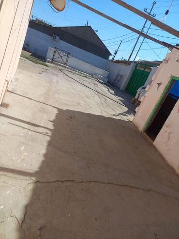 Həyət evləri və villaların satışı: Həyətyanı ev – geniş sahəli, meyvə bağı və tam infrastrukturlu - — 3