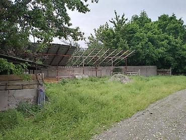 рыбные хозяйства: 5726 соток — 6