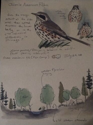 Şəkillər, tablolar: Məhsul: Təbiət mövzulu vintage üslubunda illüstrasiya posterləri — 6