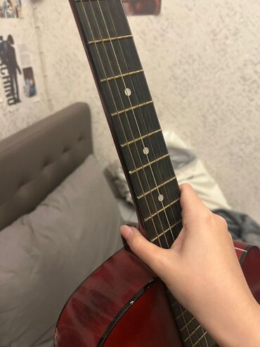 Fleytalar: Akkustik gitara – Dielisi brendi, kəsikli (cutaway) korpus dizaynı