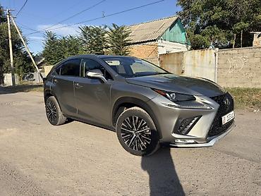 серая 2: Lexus NX: 2019 г., 2 л, Автомат, Бензин, Кроссовер — 3