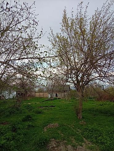 Torpaq sahələrinin satışı: 38 sot, Tikinti, Mülkiyyətçi, Kupça (Çıxarış) — 20