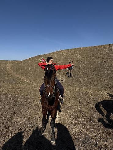 Туристические услуги: Конная прогулка - это мощнейшая эмоциональная встряска, которая — 7