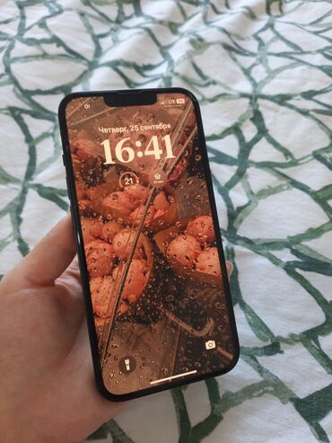 Apple iPhone: IPhone 14, 256 ГБ, 79 %