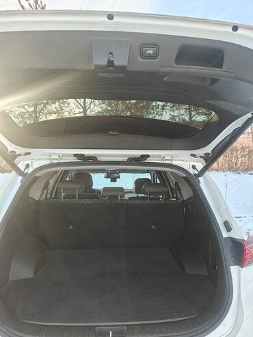 Hyundai: Hyundai Santa Fe: 2019 г., 2.2 л, Автомат, Дизель, Кроссовер — 9