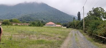 Torpaq sahələrinin satışı: 3 sot, Biznes üçün, Makler, Kupça (Çıxarış) -da lalafo.az — 3 Torpaq sahələrinin satışı: 3 sot, Biznes üçün, Makler, Kupça (Çıxarış) — 3