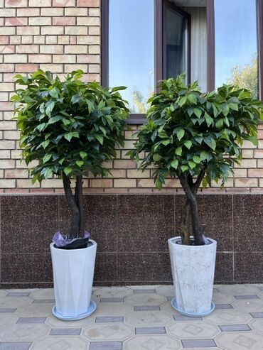 куда можно сдать старую мебель бишкек: 🌿✨ Mayram Decor.kg – искусственные деревья и цветы в Бишкеке ✨🌿