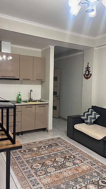 зона оддыха: Аренда квартиры на Иссык-Куле, Baytur Resort & Spa, Бостери, Цена Целиком за жилье — 5