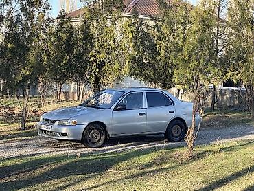 Toyota: Toyota Corolla: 2001 г., 1.8 л, Автомат, Бензин, Седан — 10