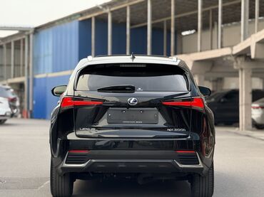 Lexus: Lexus NX: 2019 г., 2.5 л, Вариатор, Гибрид, Кроссовер — 5
