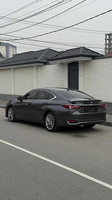 Lexus: Lexus ES: 2023 г., 2.5 л, Вариатор, Гибрид, Седан — 7