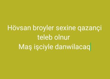 Салоны красоты: Vakansiya: Hövsan broyler sexinə qazançı tələb olunur - İş yeri