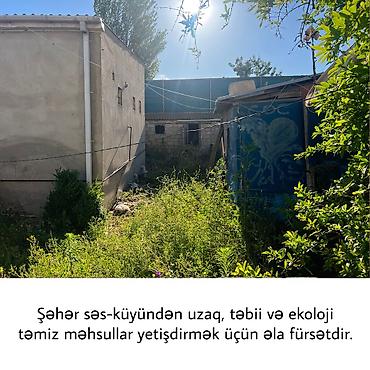 şirvanda satilan torpaqlar: 6 sot, Tikinti, Makler, Kupça (Çıxarış), Bələdiyyə — 10
