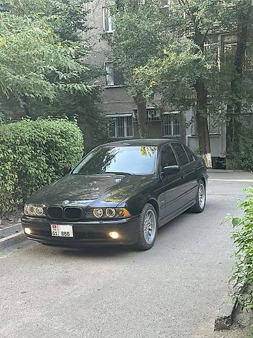 ош бмв: BMW 5 series: 2002 г., 3 л, Автомат, Бензин, Седан — 6