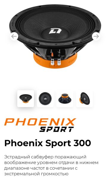 аксессуары на степ: Сабвуфер Phoenix Sport 300
с усилителем и с коробом