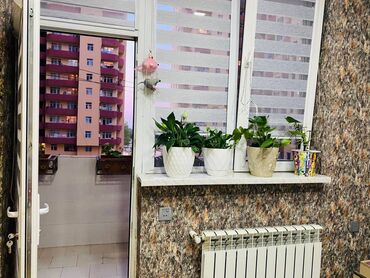 Yeni tikili: 3 otaqlı, Yeni tikili, m. Həzi Aslanov, 98 kv. m — 15