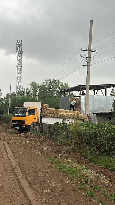 норт бенц: Грузовик, Mercedes-Benz, Стандарт, Б/у — 3