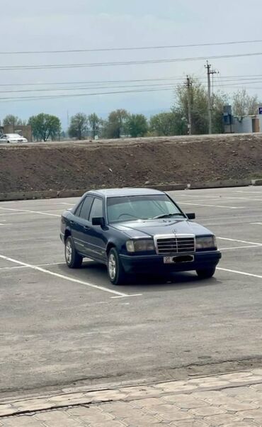 крылья на прицеп грузовой: Mercedes-Benz W124: 1986 г., 2.3 л, Механика, Бензин, Седан