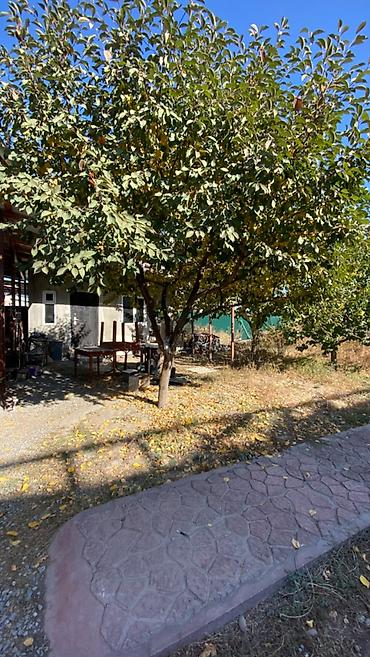 учкун участок дом: 2 соток, Договор купли-продажи, Тех паспорт — 3