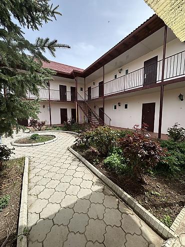 premium development: Гостевой дом на Иссык-Куле, Чолпон-Ата, 4 места — 1