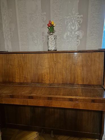 фано инструмент: Rostov-Don akustik pianino – upright tip. - Korpus: təbii ağac — 2