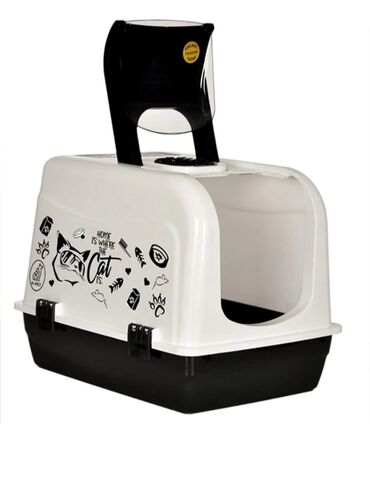 Pişiklər: Erkək, Dişi -da lalafo.az — 2 Pişiklər: Erkək, Dişi — 2