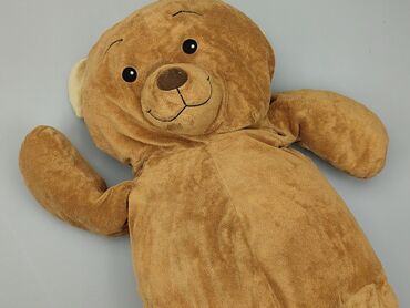 Mascots: Mascot Teddy bear, condition - Good