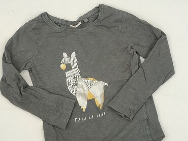 sweterki z misiem tous: Blouse, Next, 5-6 years, 110-116 cm, condition - Very good