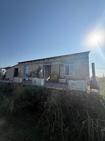 gəncə kiraye ev: Xaçmaz rayon yergüc kəndində 4 həktar intensiv bag satılır. Gölü var — 5