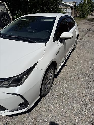 voxy noah: Toyota Corolla: 2019 г., 1.8 л, Вариатор, Гибрид, Седан — 9