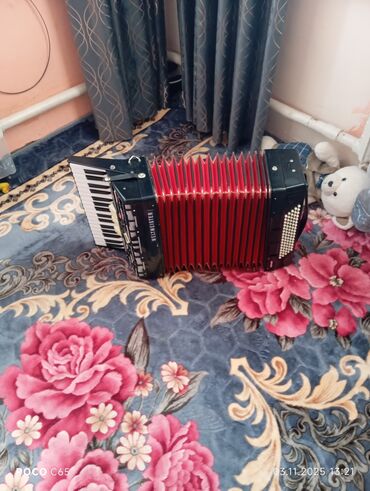 ремень для аккордеона: Требуется ремонт аккордеон