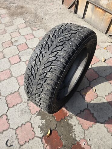 купить шипы для шин: Шиналар 275 / 50 / R 22, Winter stud, Колдонулган, Жуп, Жол тандабастар (АТ/МТ), Nokian