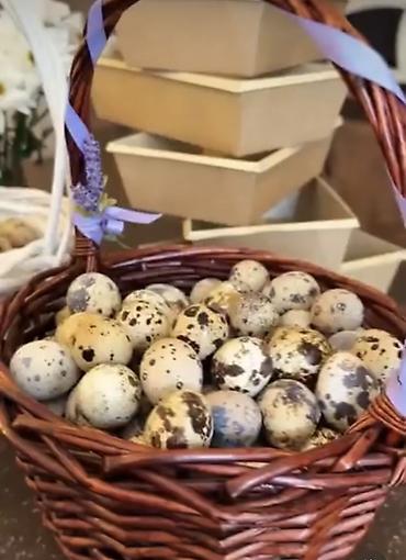 козлу кой: Перепелиная продукция KUSH KG 🐦 ПРИНИМАЕМ ЗАКАЗЫ 🥚 Перепелиные яйца — 3
