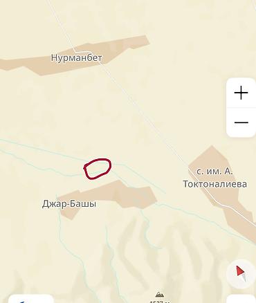Кыймылсыз мүлк: 4 соток, Айыл чарба үчүн, Кызыл китеп — 2