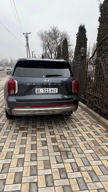 матиз молдинг: Hyundai Palisade: 2023 г., 2.2 л, Автомат, Дизель, Внедорожник — 8