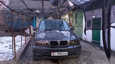 e34 540i: BMW X5: 2003 г., Кроссовер — 1