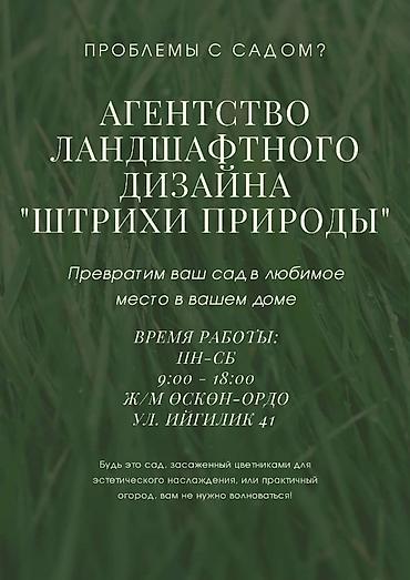Капельный полив: Система полива. Система автополива. Сеем газон. Газон и автополива — 5