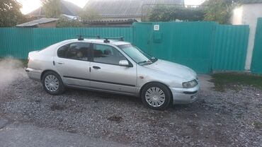 какая машина подходит для яндекс такси бишкек: Nissan Primera: 1999 г., 2 л, Автомат, Газ, Хетчбек