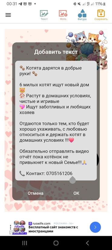 сеператор для биогумуса: Котята в добрые руки - 6 милых котят ищут новый дом - Растут в